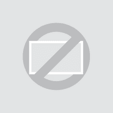 12 Zoll Monitor Metall SDI